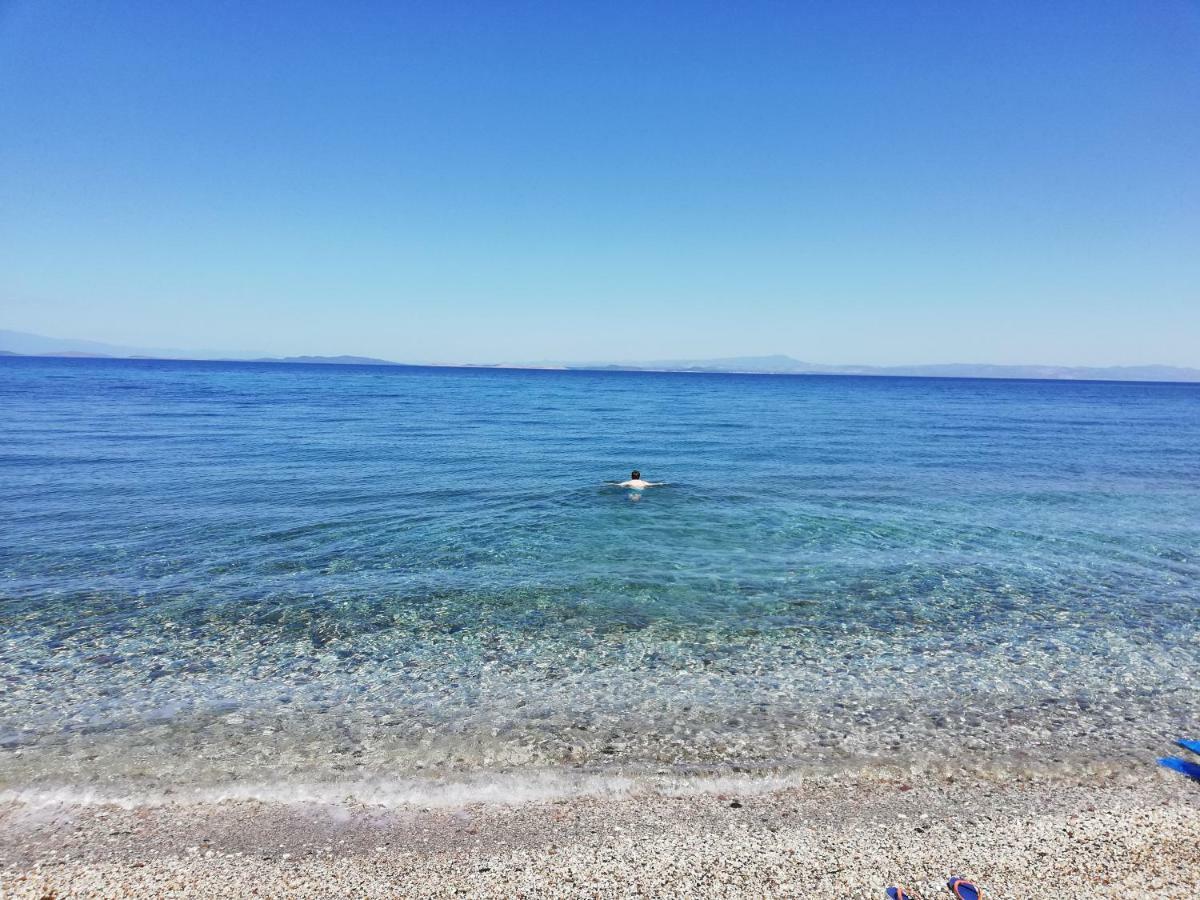 Fotis Apartments Skala Neon Kydonion 外观 照片